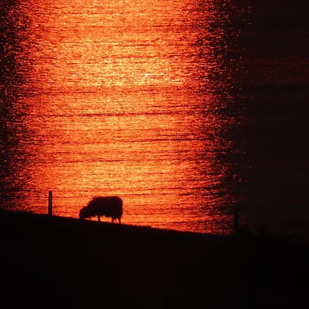 Holiday home Killadoon Farm House Killadoon (Mayo)