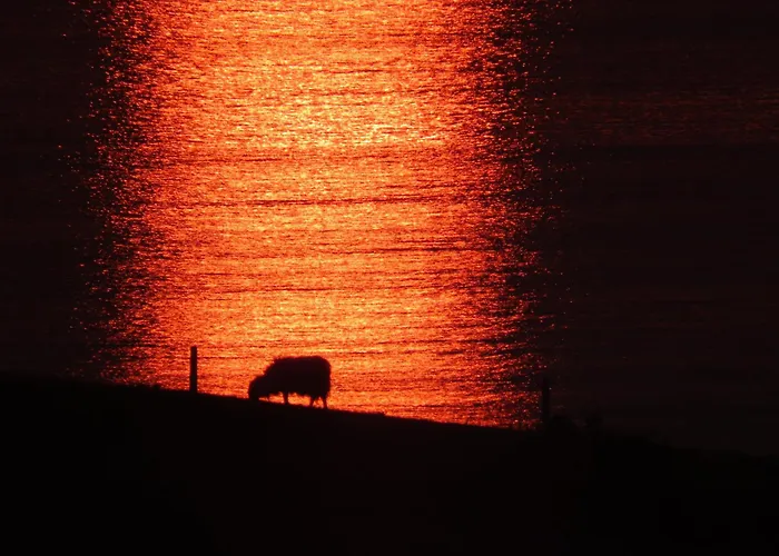Dom wakacyjny Killadoon Farm House Killadoon (Mayo)